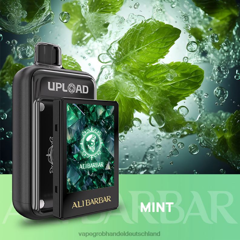 Vape Großhandel Köln - Alibarbar hochladen Minze 48D2R117