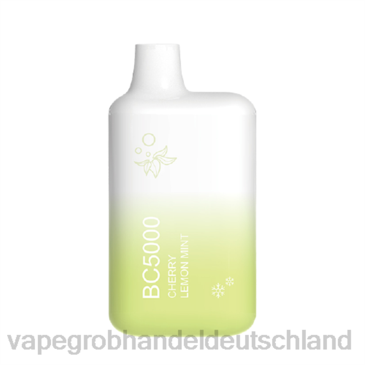 vape großhandel 12030 | LLL2302 Zitronenminze ELFBAR BC5000