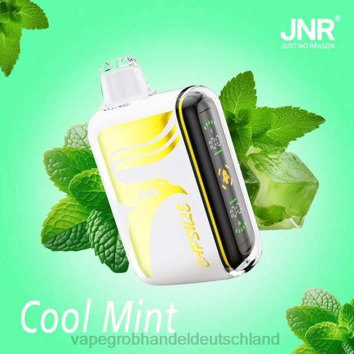 vape großhandel berlin | LLL2604 frische Minze JNR CAPSULE