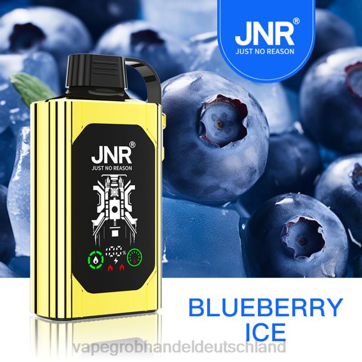 vape großhandel randm | LLL2617 Blaubeereis JNR SHISHA BOX