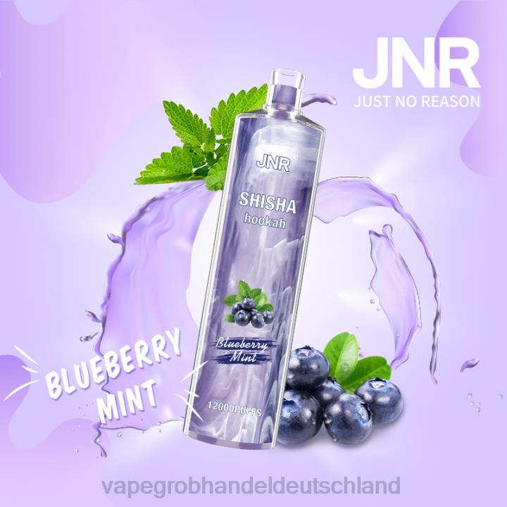 vape großhandel 12067 | LLL2672 Blaubeerminze JNR SHISHA