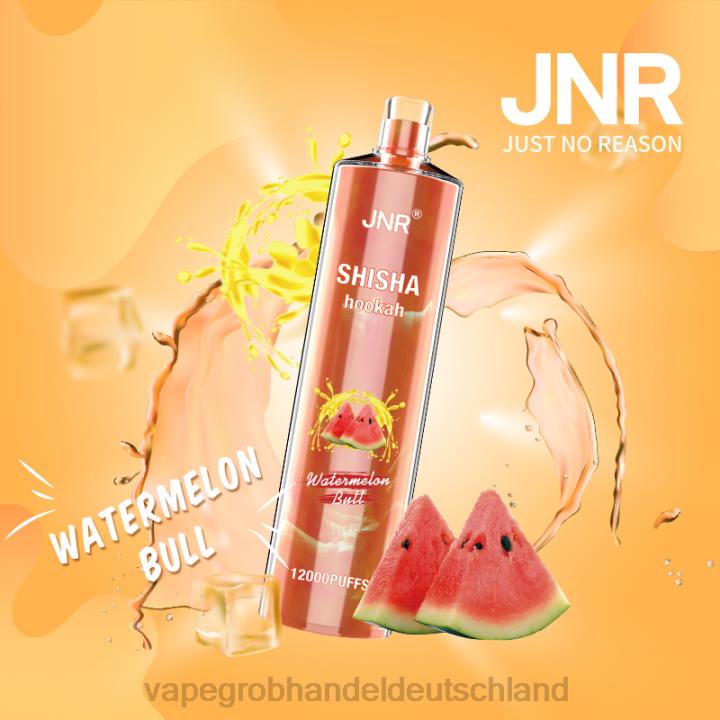 vape großhandel 12069 | LLL2692 Wassermelonenbulle JNR SHISHA