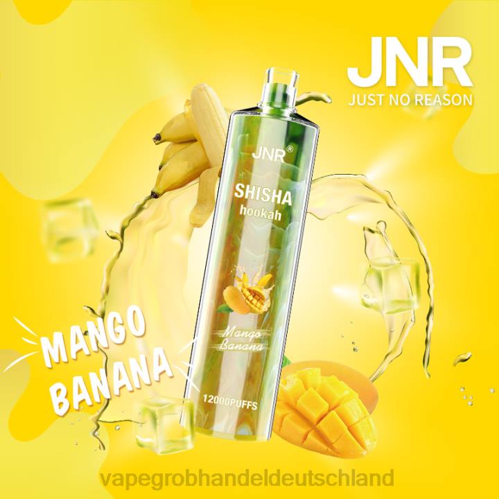 vape großhandel berlin | LLL2684 Mango-Banane JNR SHISHA