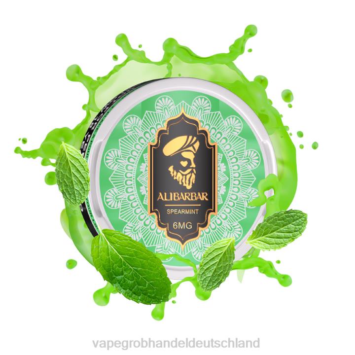 vape großhandel frankfurt | LLL256 grüne Minze ALIBARBAR Nikotinbeutel